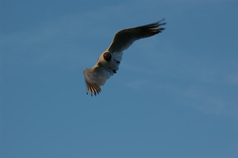Picture 053